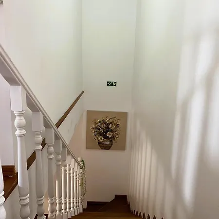 Seaside Retreat With Terrace In Baleal 公寓 费雷尔